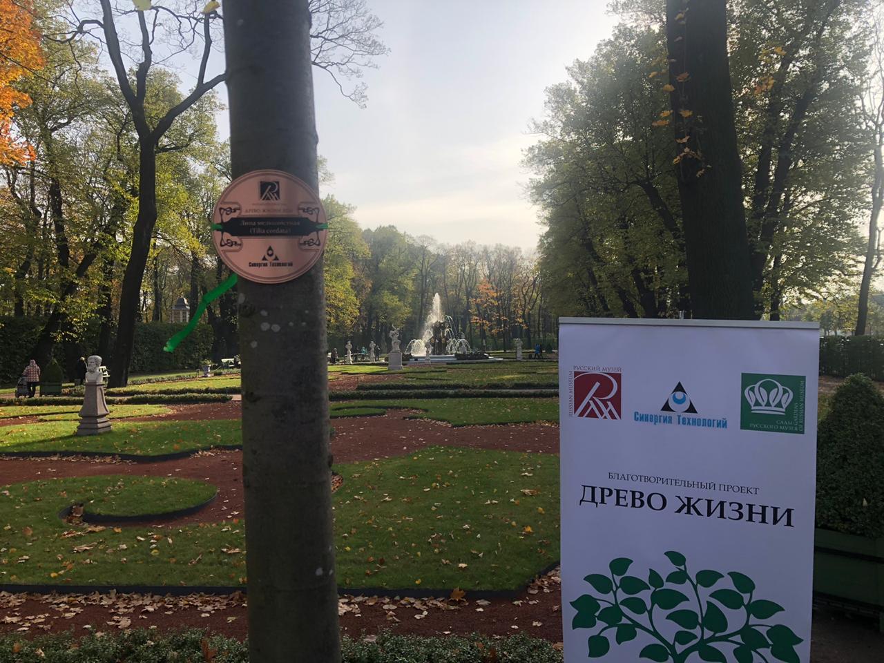 Благотворительная акция «Древо жизни»